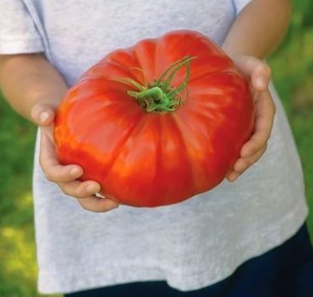 West Chicago company sows the seeds for a bumper crop of gardeners