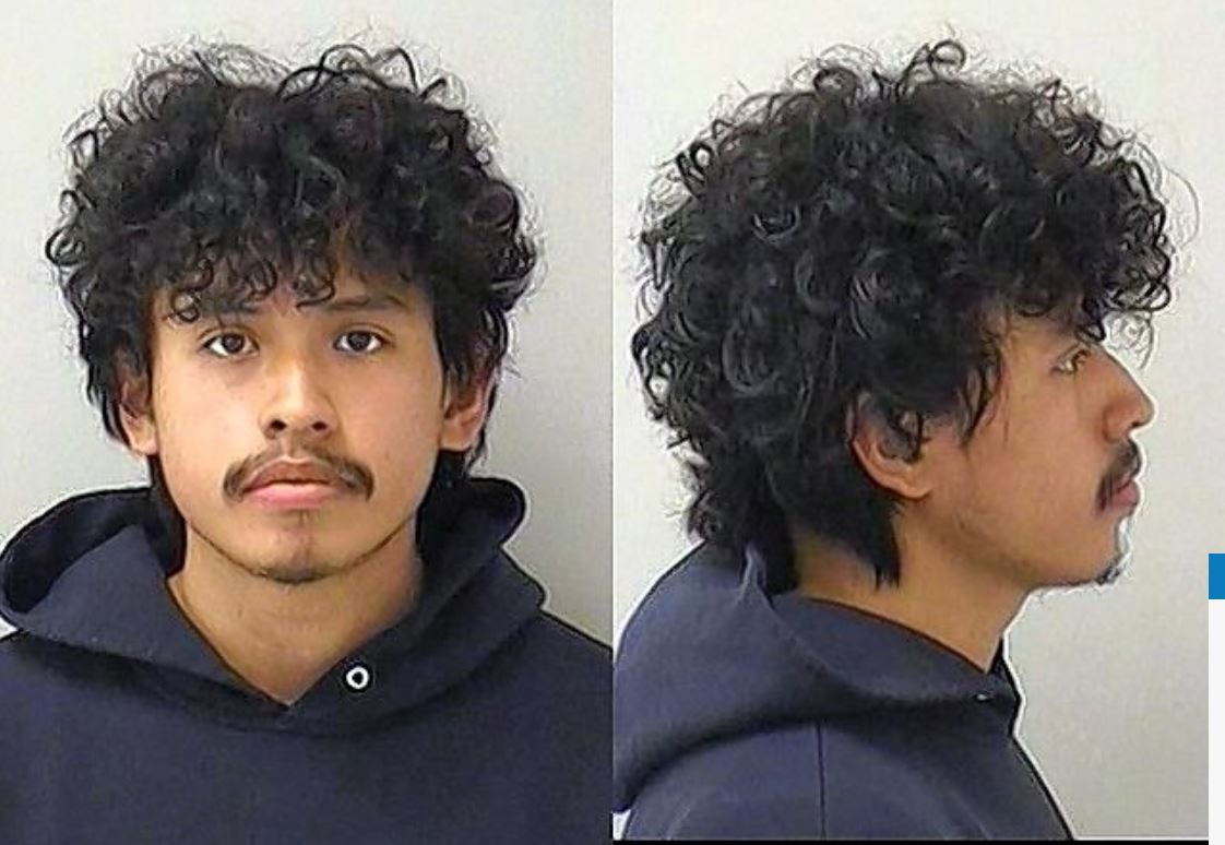 Carpentersville man charged with animal cruelty in dog stabbing | The ...