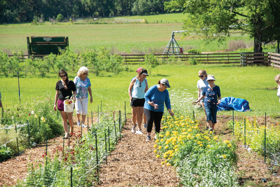 Special Zoning Board of Appeals Public Hearing August 20th The Barrington Hills Observer