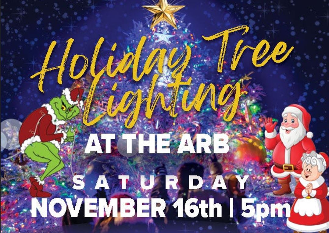 The Arboretum Tree Lighting ceremony is today | The Barrington Hills ...